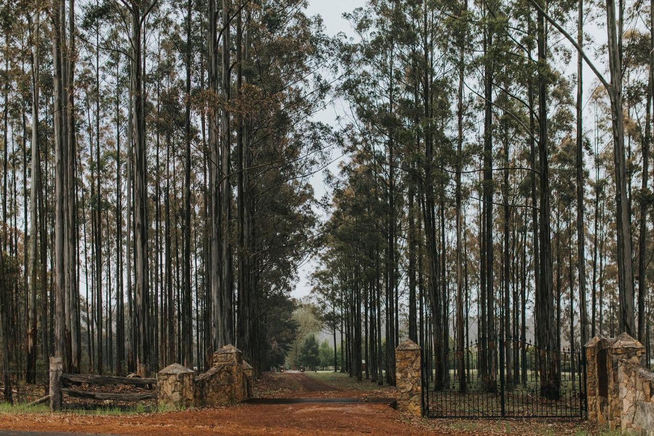 Clover Cottage Country Retreat Manjimup Esterno foto