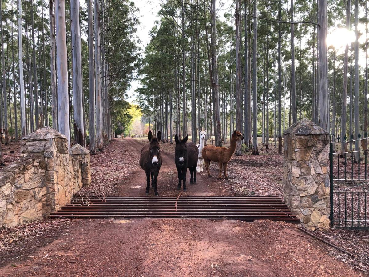 Clover Cottage Country Retreat Manjimup Esterno foto
