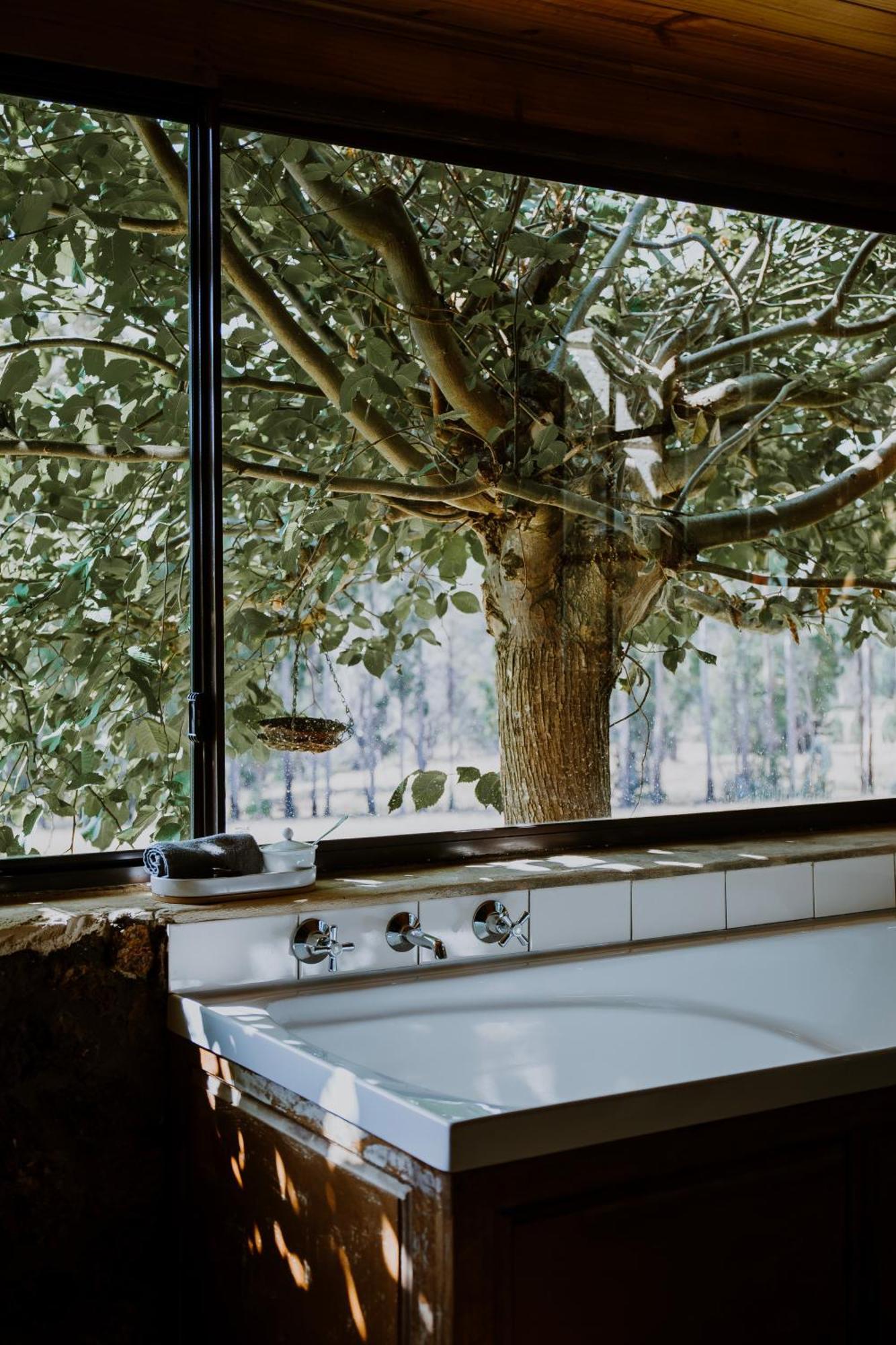 Clover Cottage Country Retreat Manjimup Esterno foto